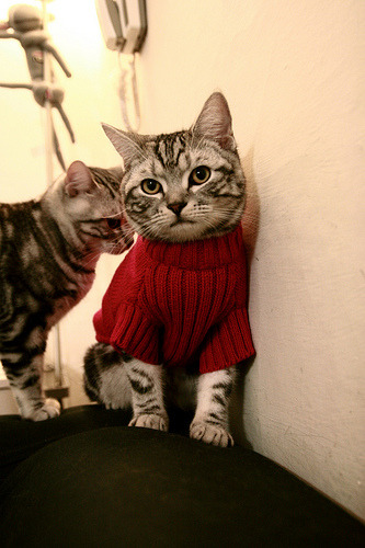 战术完胜!巴拉圭全面压制安哥拉,布鲁诺闪耀全场获评满分