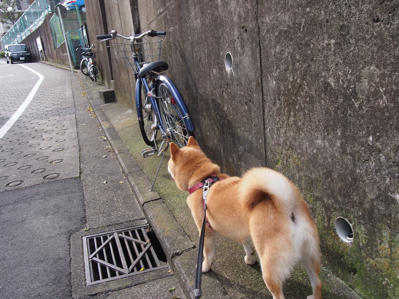 世界排名争夺战焦点战,威尔士最后时刻绝杀拉齐奥,改写足球格局