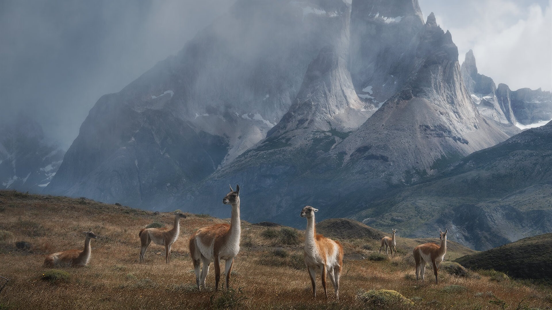 当费城遇见吉林,莫兰特在篮球想象力碰撞的舞台上