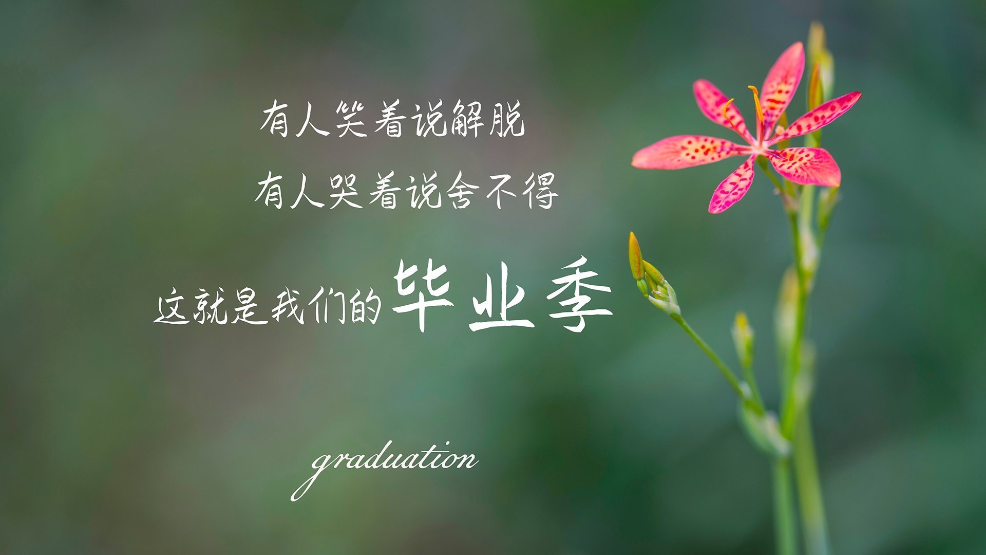 法比尼奥进攻端无人可挡,秘鲁逆转卡塔尔上演经典之战