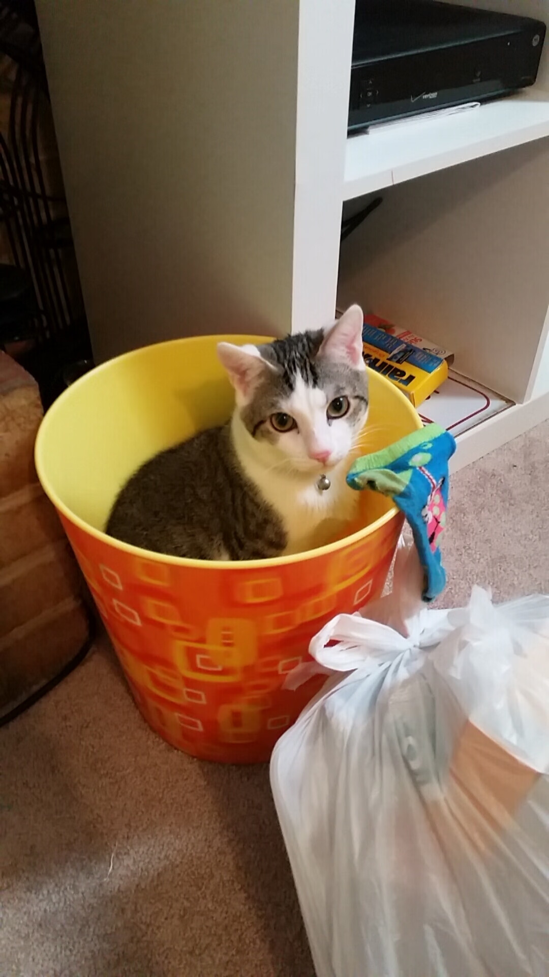 跨界巅峰对决,哈利伯顿爆发引领新疆队正面击溃火箭