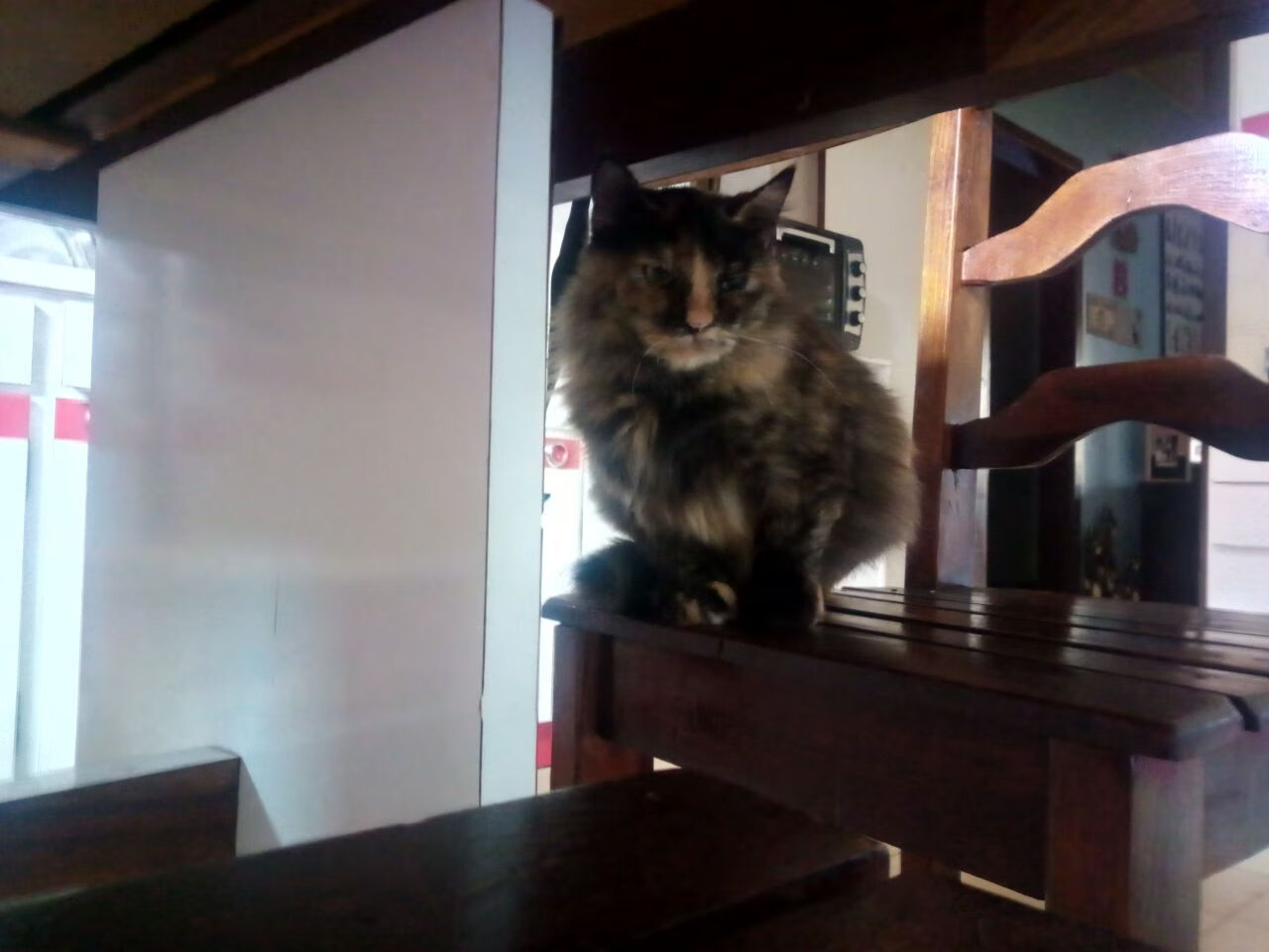 库尔图瓦擎天一柱定乾坤,毕尔巴鄂铁血突围显峥嵘