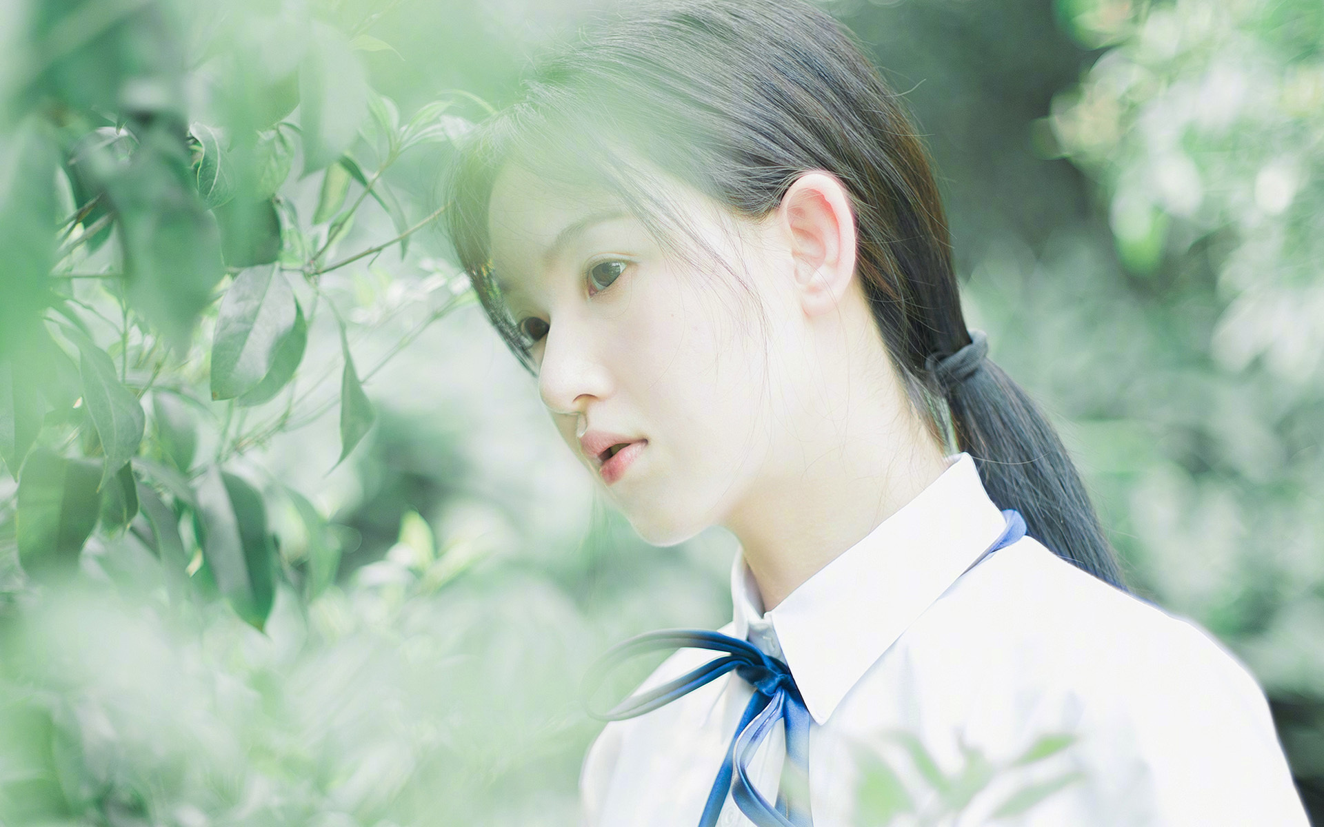 星光裂夜,布鲁诺撕碎防线的美加墨狂想曲