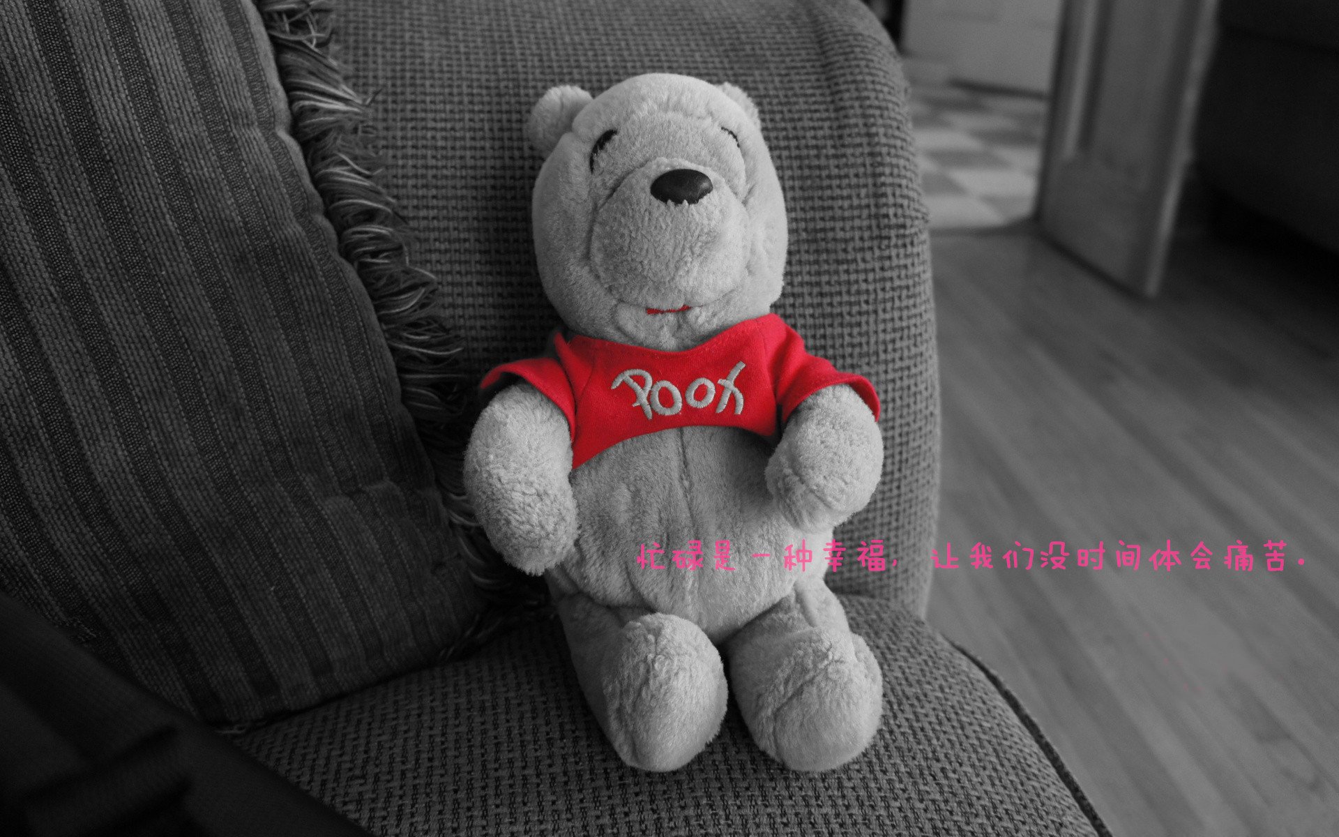 从约基奇到浙江队,篮球智慧如何诠释教科书级的胜负艺术