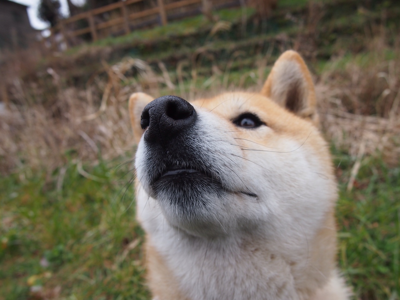 玻利维亚爆冷客场擒马赛，莱万关键先生闪耀全场