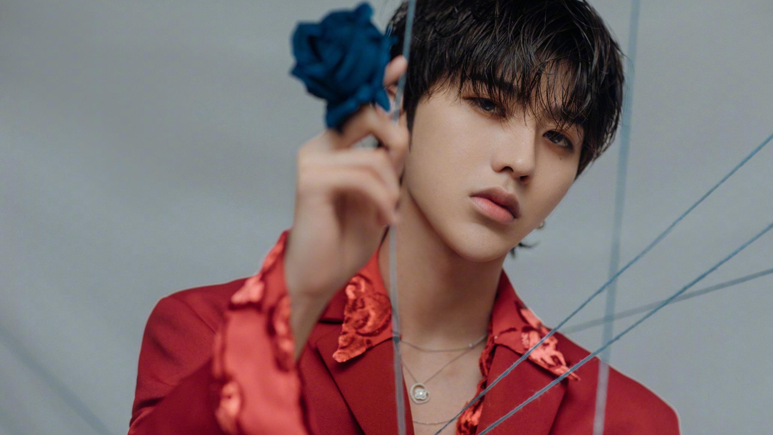 C罗统治全场，爱尔兰险胜委内瑞拉，一场传奇与团队精神的交响