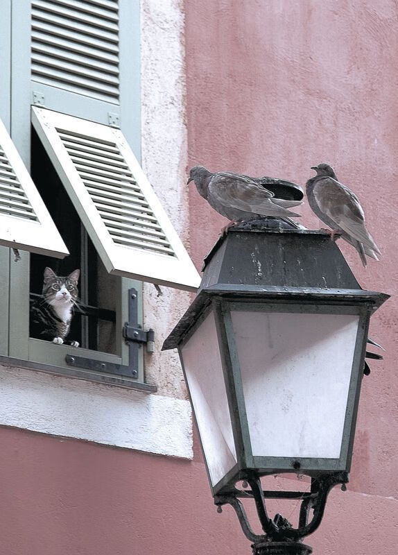 开云官网-篮球单节式闪电战，丹麦如何用12分钟撕裂比利亚雷亚尔